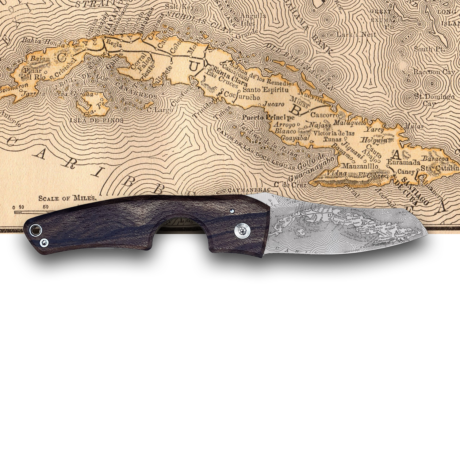 Le Petit - Compass - Cuba Ziricote | Les Fines Lames-Cutter-Cuban Ashes